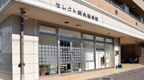 もみの樹整骨院 岡山市北区の交通事故対応整骨院 病院 事故なび